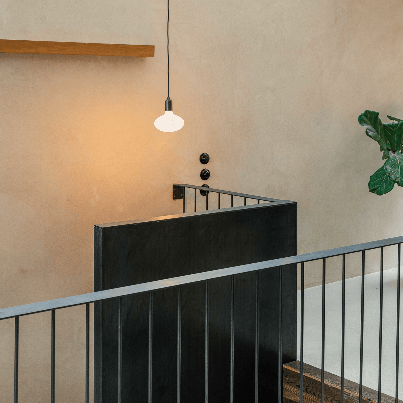 Tala US · Oval E26 LED Bulb | socius design in Rochester, MN