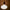 Tala US · Oval II E26 LED Bulb | socius design in Rochester, MN