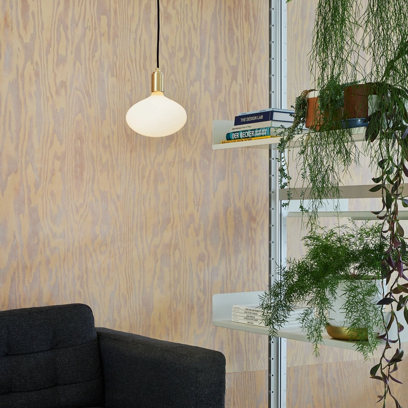 Tala US · Oval II Pendant Light in Brass | socius design in Rochester, MN