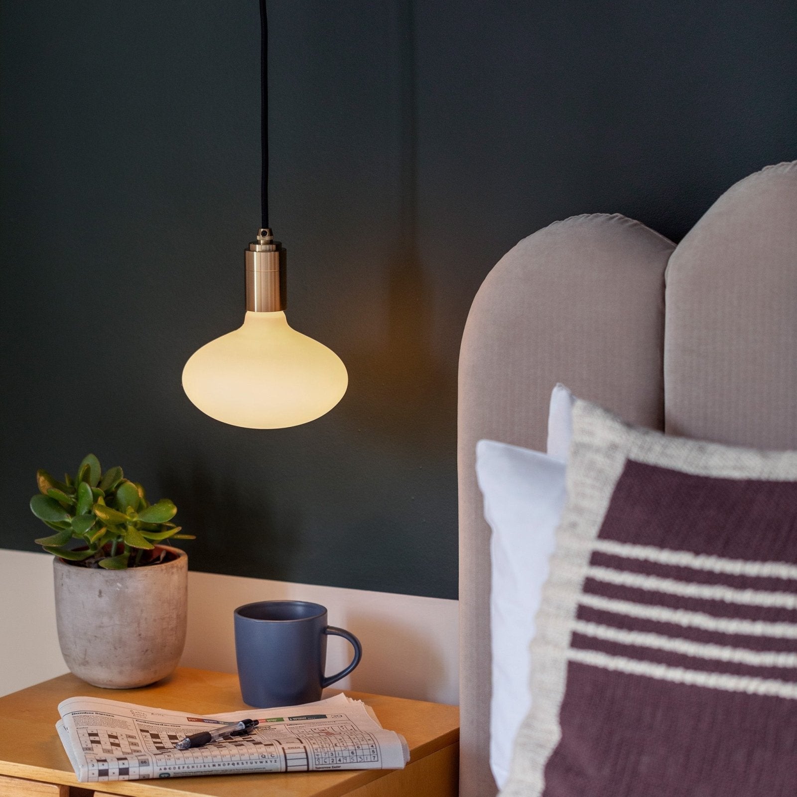 Tala US · Oval Plug - In Pendant in Brass | socius design in Rochester, MN