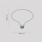 Tala US · Oval Plug - In Pendant in Brass | socius design in Rochester, MN