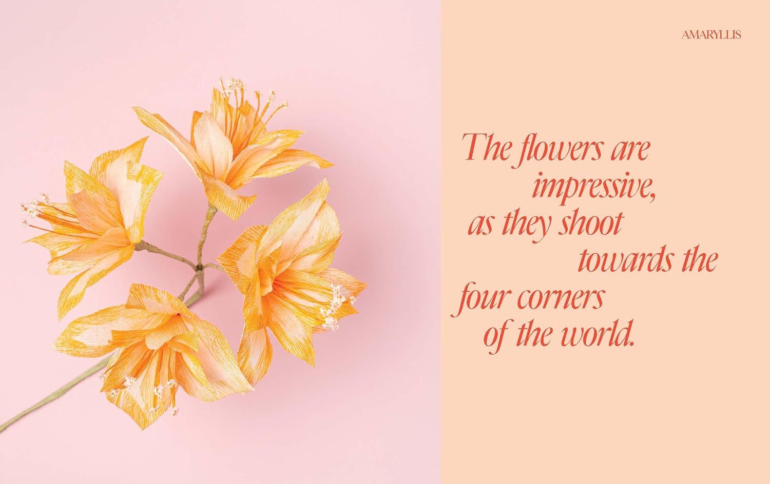 Chronicle Books · Paper Flowers · Chronicle Books | socius design in Rochester, MN