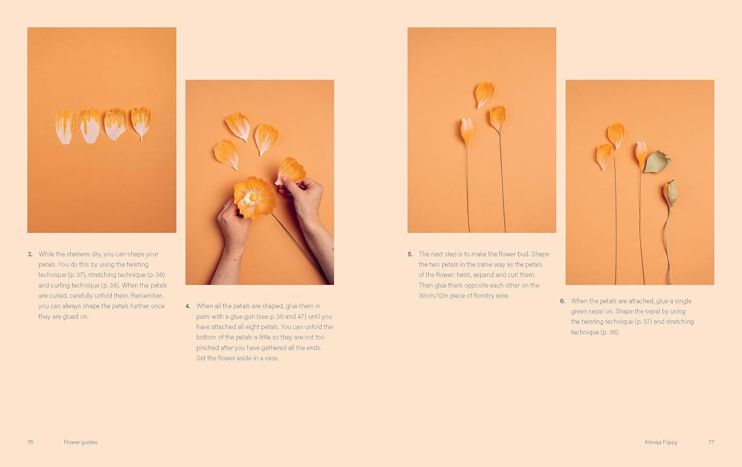 Chronicle Books · Paper Flowers · Chronicle Books | socius design in Rochester, MN