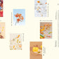 Chronicle Books · Paper Flowers · Chronicle Books | socius design in Rochester, MN