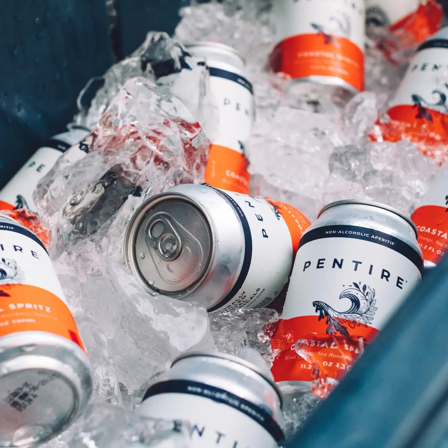 Pentire Drinks Inc. · Pentire Coastal Spritz · Non - Alcoholic RTD 330ml can | socius design in Rochester, MN