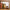 P.F. Candle Co. · P.F. Candle Co. - Teakwood & Tobacco - Large Concentrated Candle | socius design in Rochester, MN