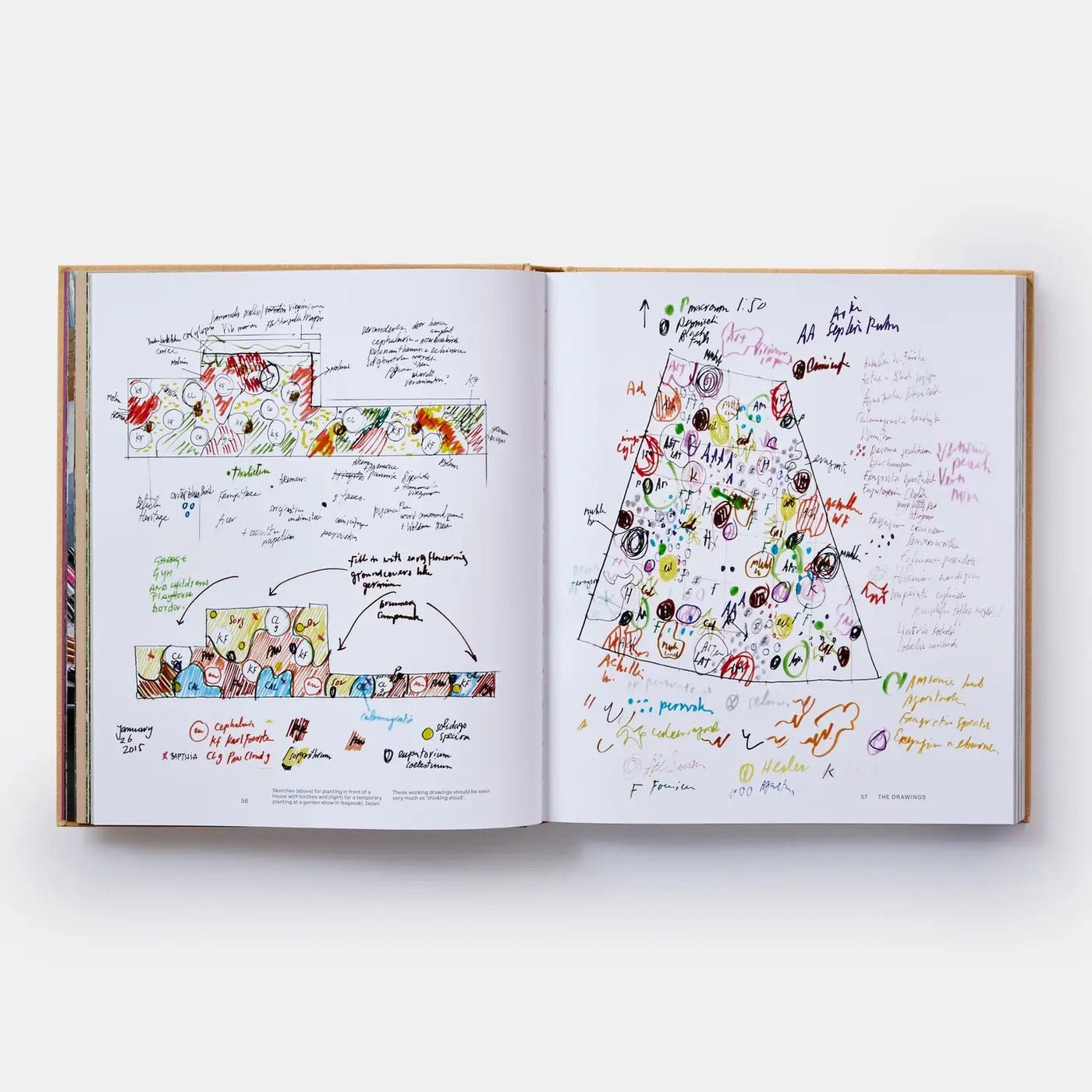 Phaidon · Piet Oudolf At Work | socius design in Rochester, MN