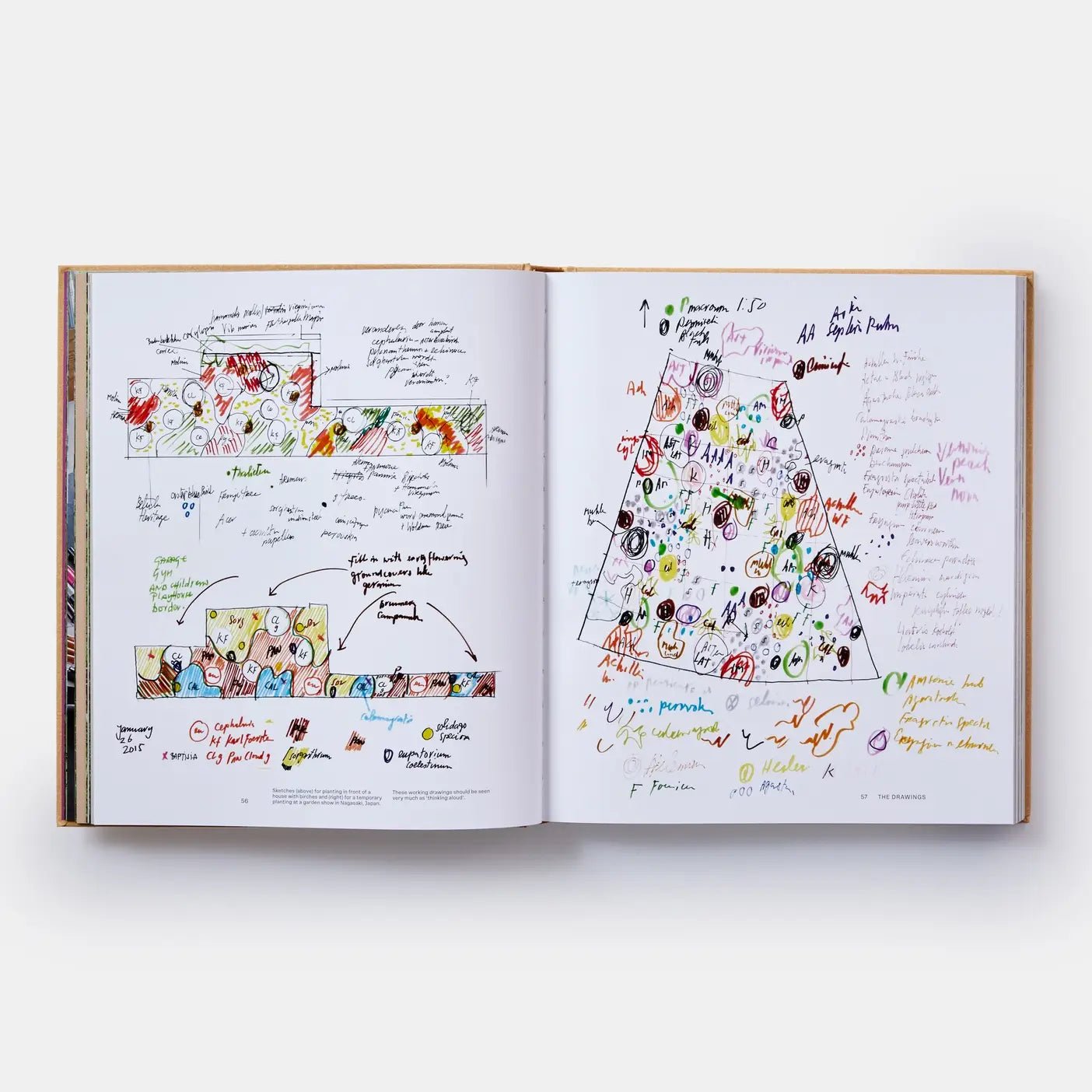 Phaidon · Piet Oudolf At Work | socius design in Rochester, MN