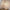 Tala US · Porcelain II E26 LED Bulb | socius design in Rochester, MN