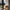Tala US · Porcelain II E26 LED Bulb | socius design in Rochester, MN
