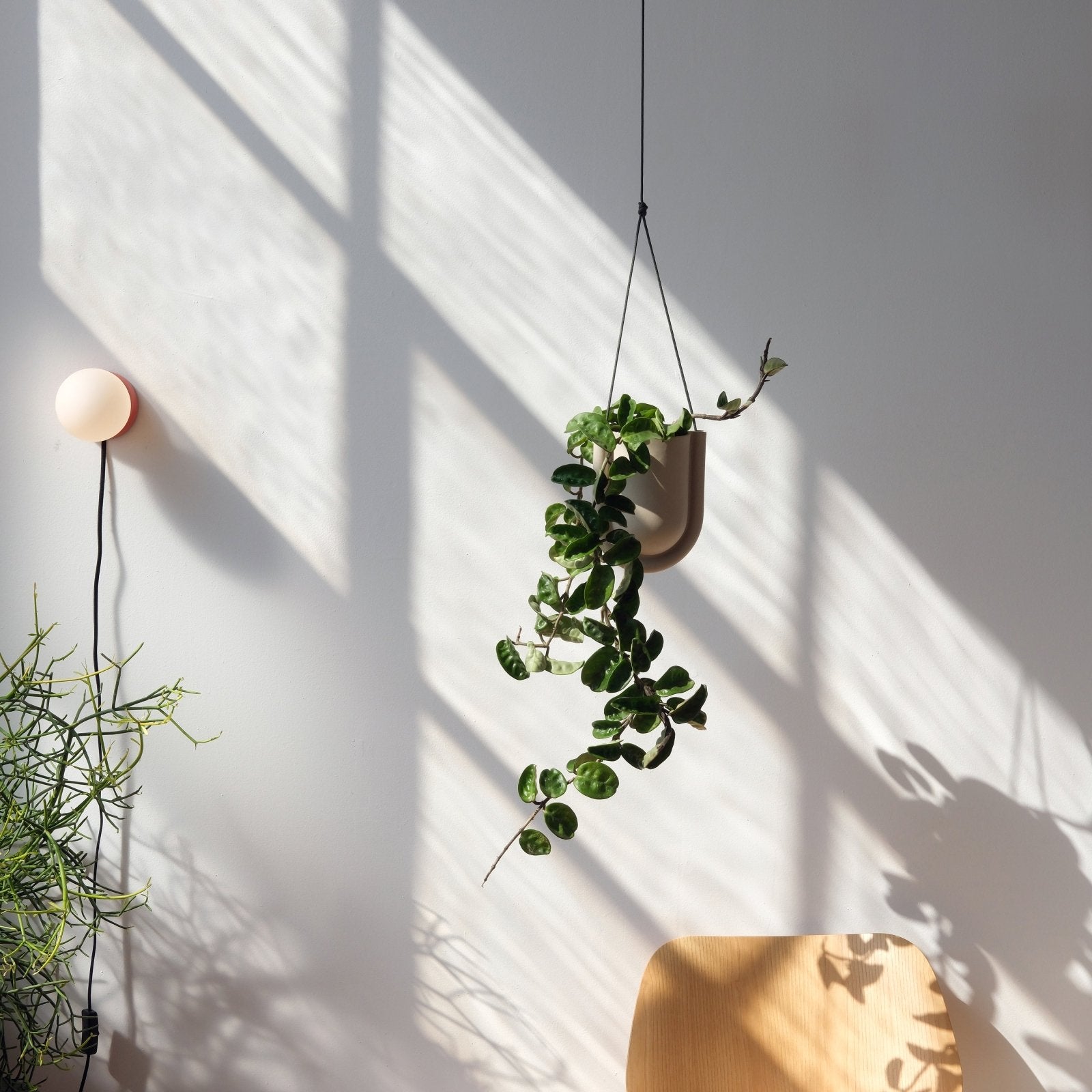 Misewell · Portico Planter | socius design in Rochester, MN