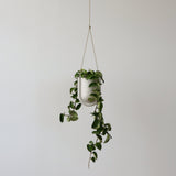 Misewell · Portico Planter | socius design in Rochester, MN
