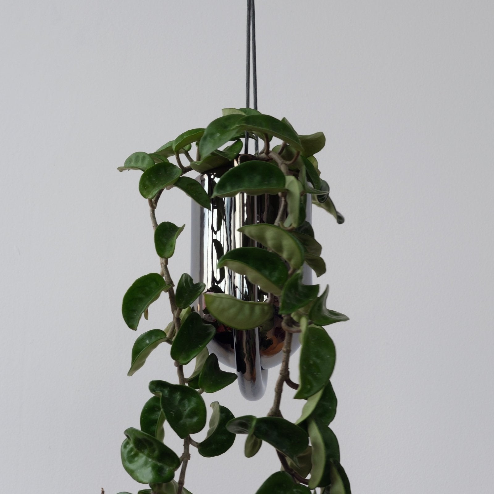 Misewell · Portico Planter | socius design in Rochester, MN