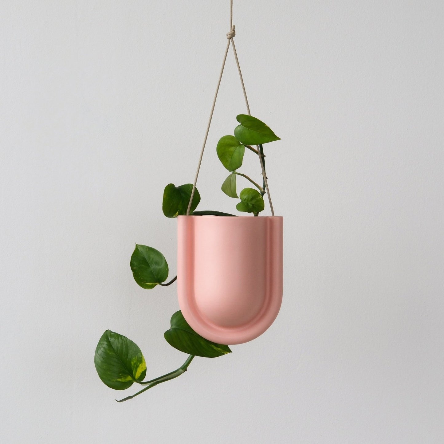 Misewell · Portico Planter | socius design in Rochester, MN