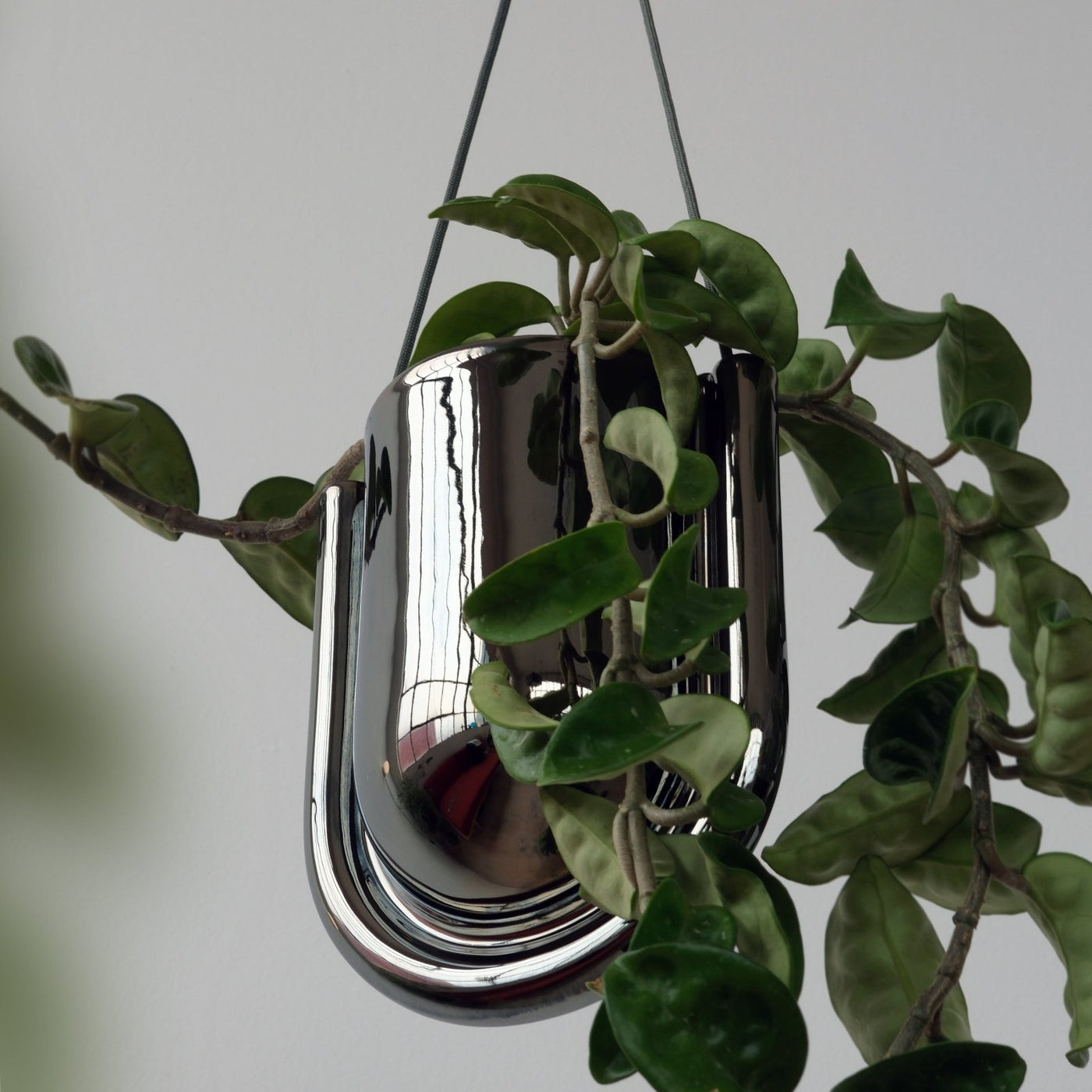 Misewell · Portico Planter - Chrome | socius design in Rochester, MN