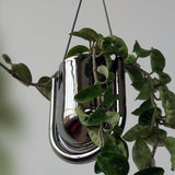 Misewell · Portico Planter - Chrome | socius design in Rochester, MN