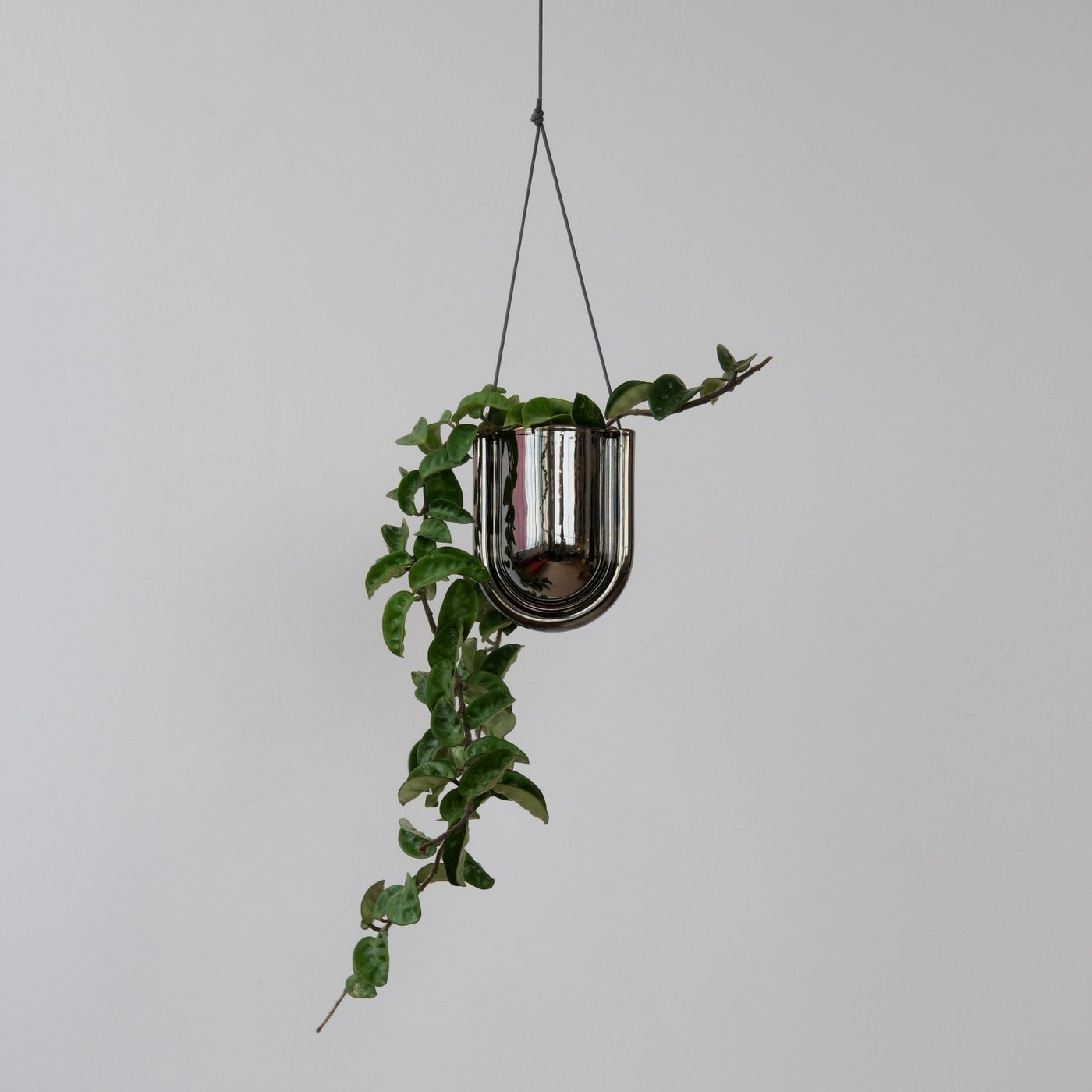 Misewell · Portico Planter - Chrome | socius design in Rochester, MN