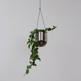 Misewell · Portico Planter - Chrome | socius design in Rochester, MN