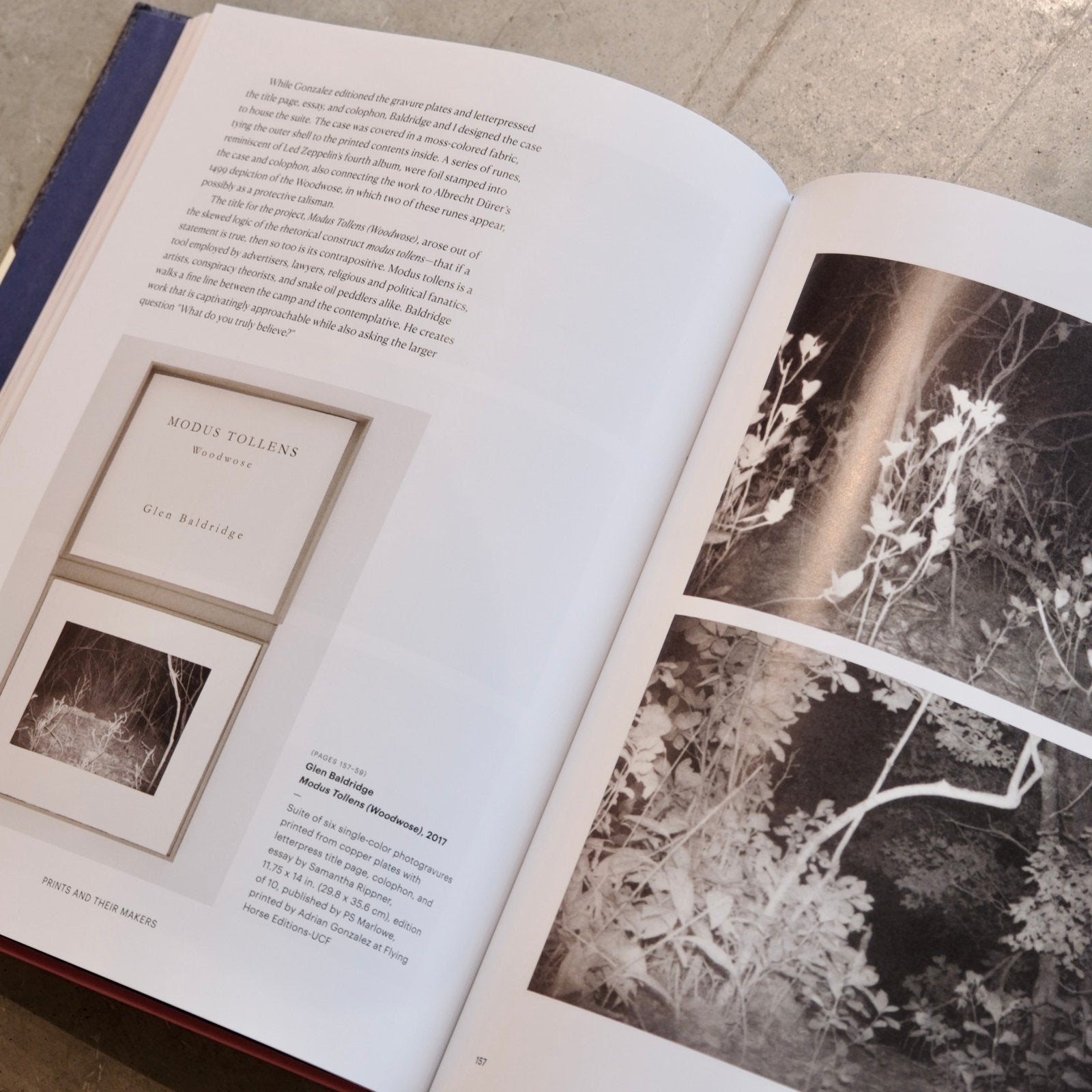 Chronicle Books · Prints and Their Makers · Chronicle Books | socius design in Rochester, MN