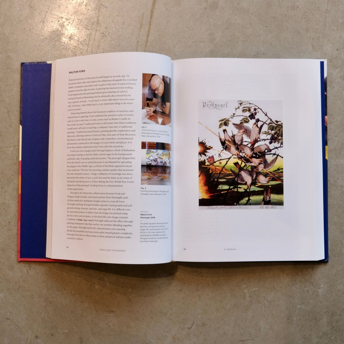 Chronicle Books · Prints and Their Makers · Chronicle Books | socius design in Rochester, MN