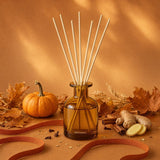 APOTHEKE · Pumpkin Ginger Mini Reed Diffuser | socius design in Rochester, MN