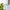 APOTHEKE · Pura 4 Smart Diffuser + Starter Fragrances | socius design in Rochester, MN