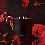 APOTHEKE · Rouge 3-Wick Candle | socius design in Rochester, MN