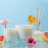 APOTHEKE · Sea Salt Grapefruit Classic Candle | socius design in Rochester, MN