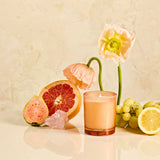 APOTHEKE · Sea Salt Grapefruit Petite Candle | socius design in Rochester, MN