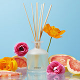 APOTHEKE · Sea Salt Grapefruit Reed Diffuser | socius design in Rochester, MN