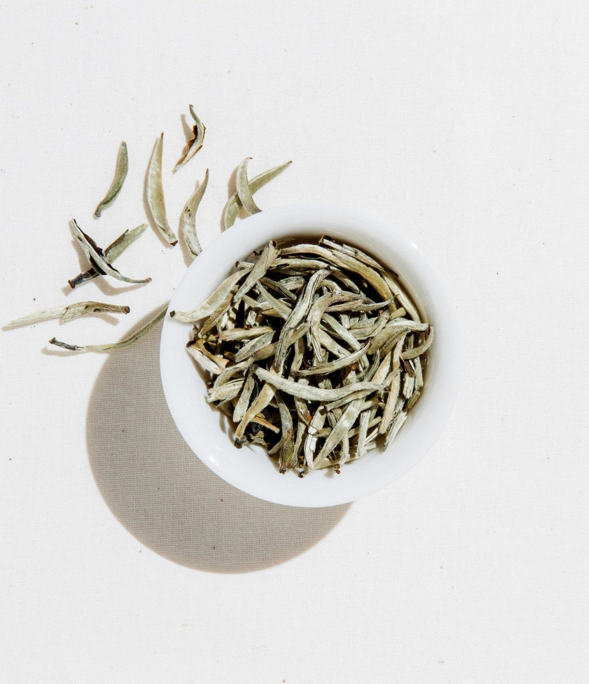 Art of Tea · Silver Needle Tea | socius design in Rochester, MN