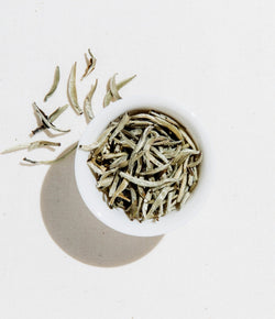 Art of Tea · Silver Needle Tea | socius design in Rochester, MN