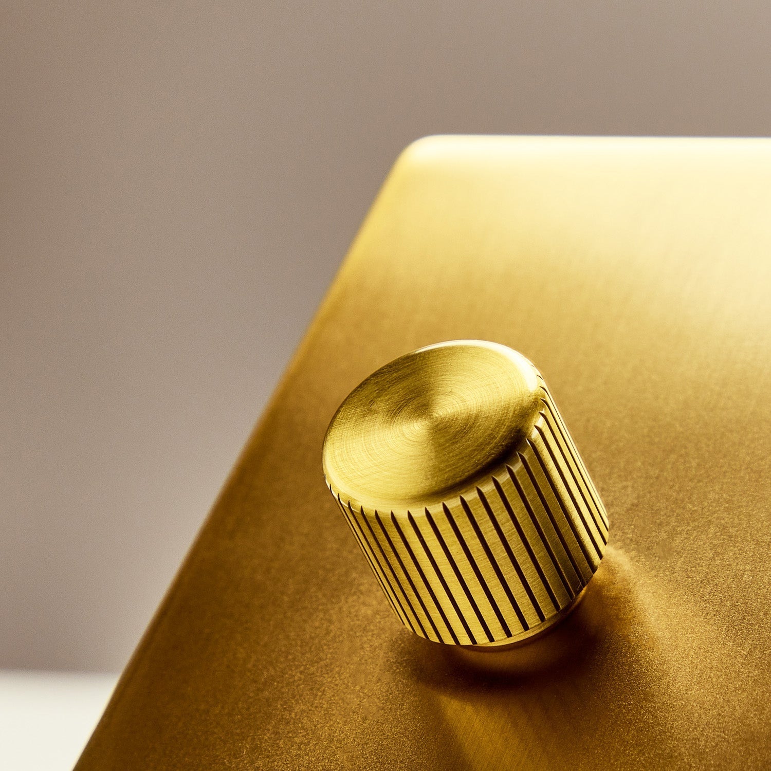 Tala US · Single Rotary Wall Dimmer in Brass | socius design in Rochester, MN