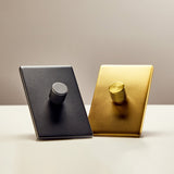 Tala US · Single Rotary Wall Dimmer in Brass | socius design in Rochester, MN