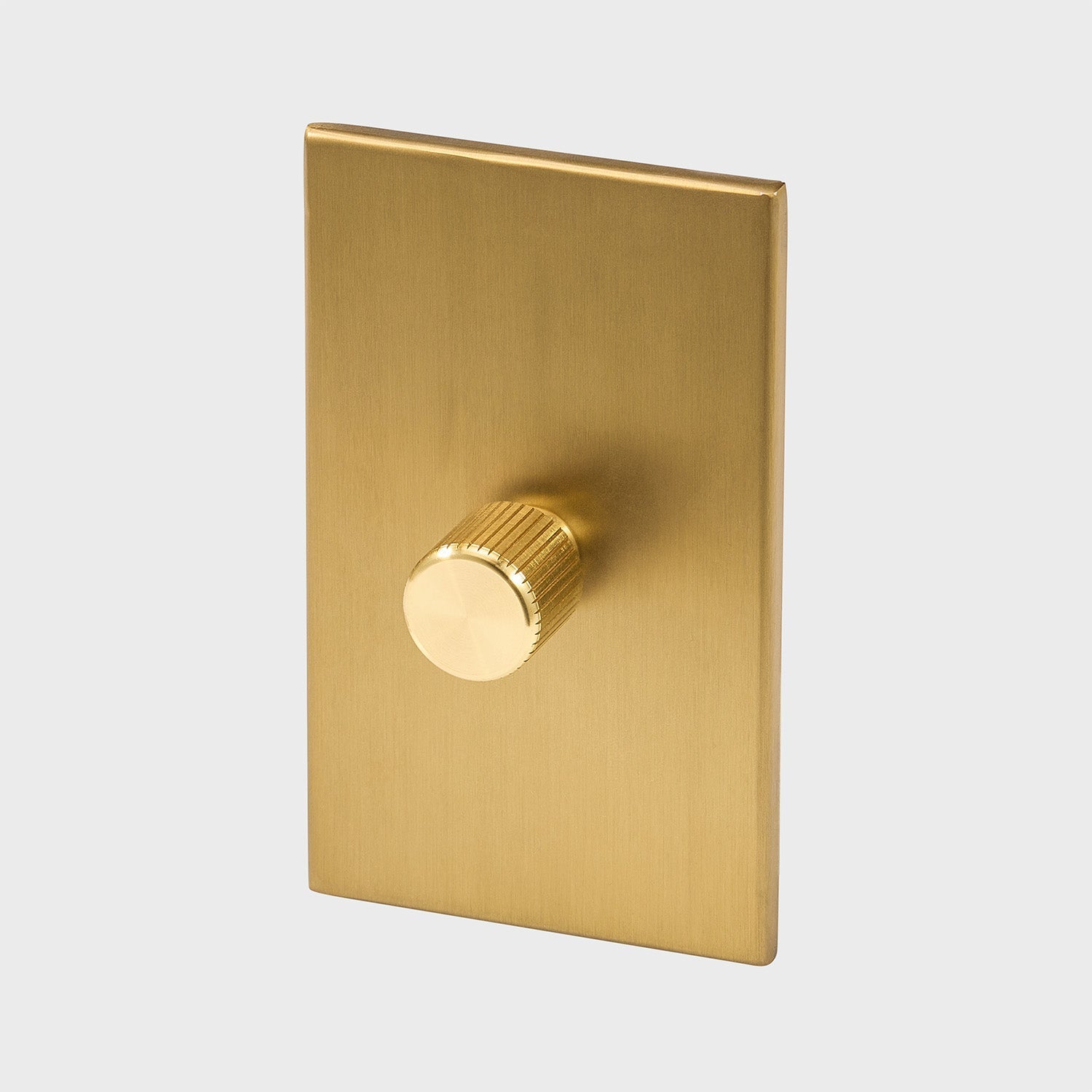 Tala US · Single Rotary Wall Dimmer in Brass | socius design in Rochester, MN