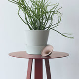 Misewell · Sixagon | socius design in Rochester, MN
