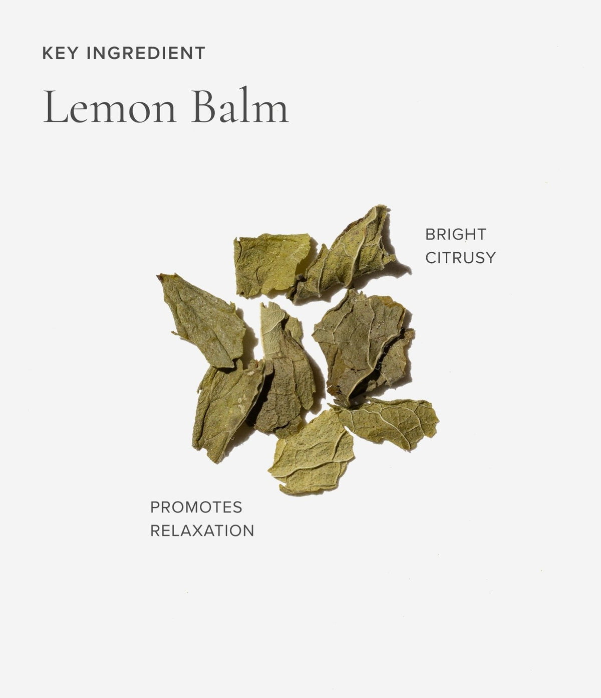Art of Tea · Sleep Blend Eco Teabag Sachets | socius design in Rochester, MN