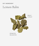 Art of Tea · Sleep Blend Eco Teabag Sachets | socius design in Rochester, MN