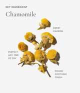 Art of Tea · Sleep Blend Eco Teabag Sachets | socius design in Rochester, MN