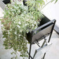 Yamazaki Home · Steel Entryway Storage Cart (29.33" H) | socius design in Rochester, MN