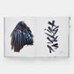 Phaidon · Still: The Art of Noticing, Mary Jo Hoffman | socius design in Rochester, MN