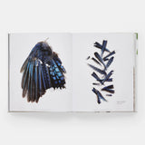 Phaidon · Still: The Art of Noticing, Mary Jo Hoffman | socius design in Rochester, MN