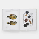 Phaidon · Still: The Art of Noticing, Mary Jo Hoffman | socius design in Rochester, MN