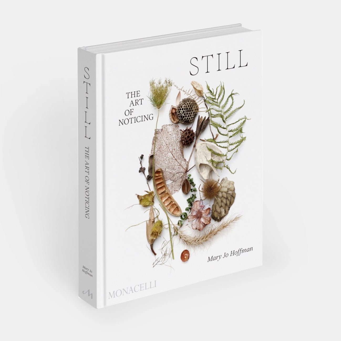 Phaidon · Still: The Art of Noticing, Mary Jo Hoffman | socius design in Rochester, MN