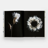 Phaidon · Still: The Art of Noticing, Mary Jo Hoffman | socius design in Rochester, MN