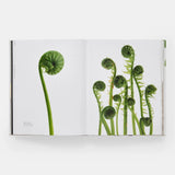 Phaidon · Still: The Art of Noticing, Mary Jo Hoffman | socius design in Rochester, MN