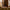 P.F. Candle Co. · Teakwood & Tobacco - Incense Sticks | socius design in Rochester, MN