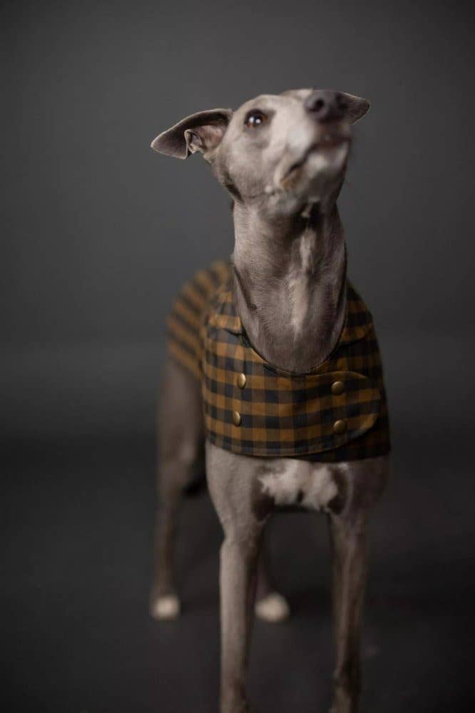 MERCHANT & MILLS · The Barka Dog Coat Pattern | socius design in Rochester, MN