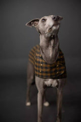 MERCHANT & MILLS · The Barka Dog Coat Pattern | socius design in Rochester, MN