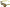 Crap Eyewear · The Heavy Tropix | socius design in Rochester, MN